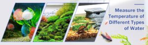 external-aquarium-thermometer